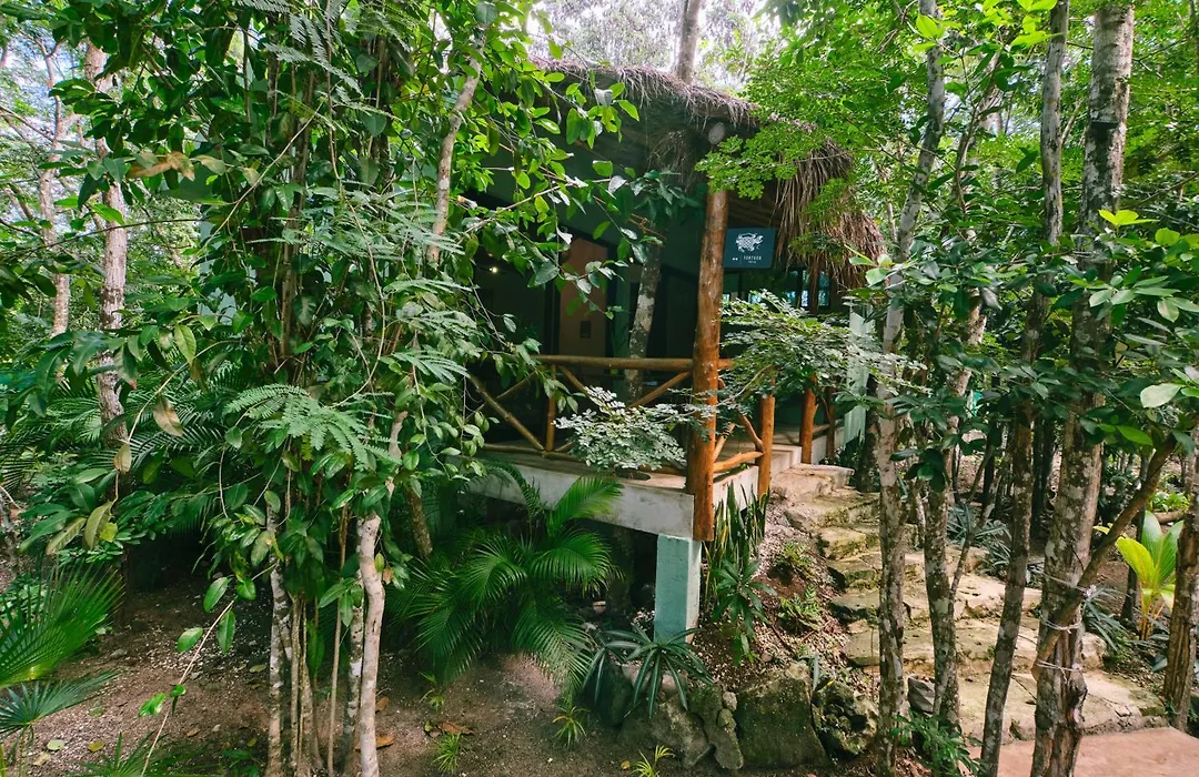 Villas Zamna - Jungle Villas-1